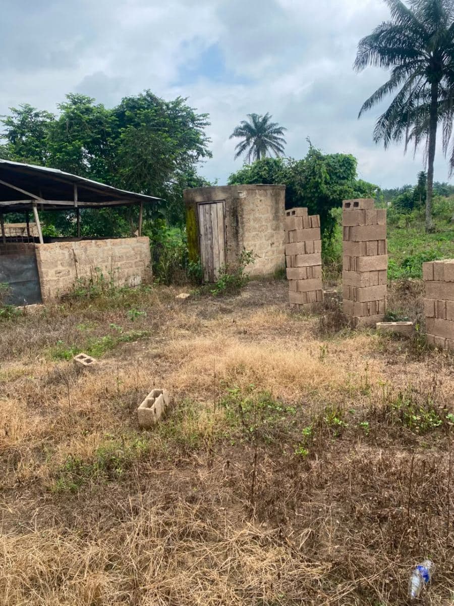 Pig house with 8 rooms and additional space