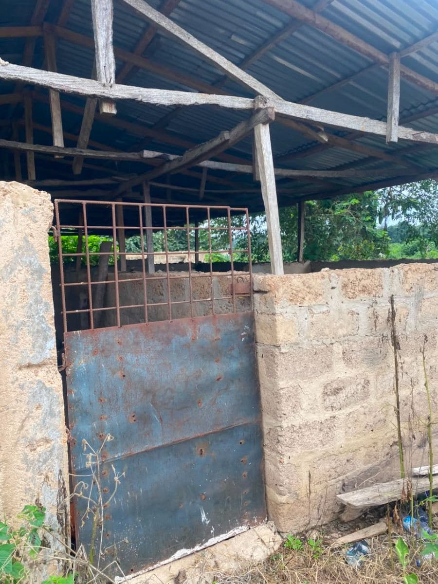 Pig house with 8 rooms and additional space 2
