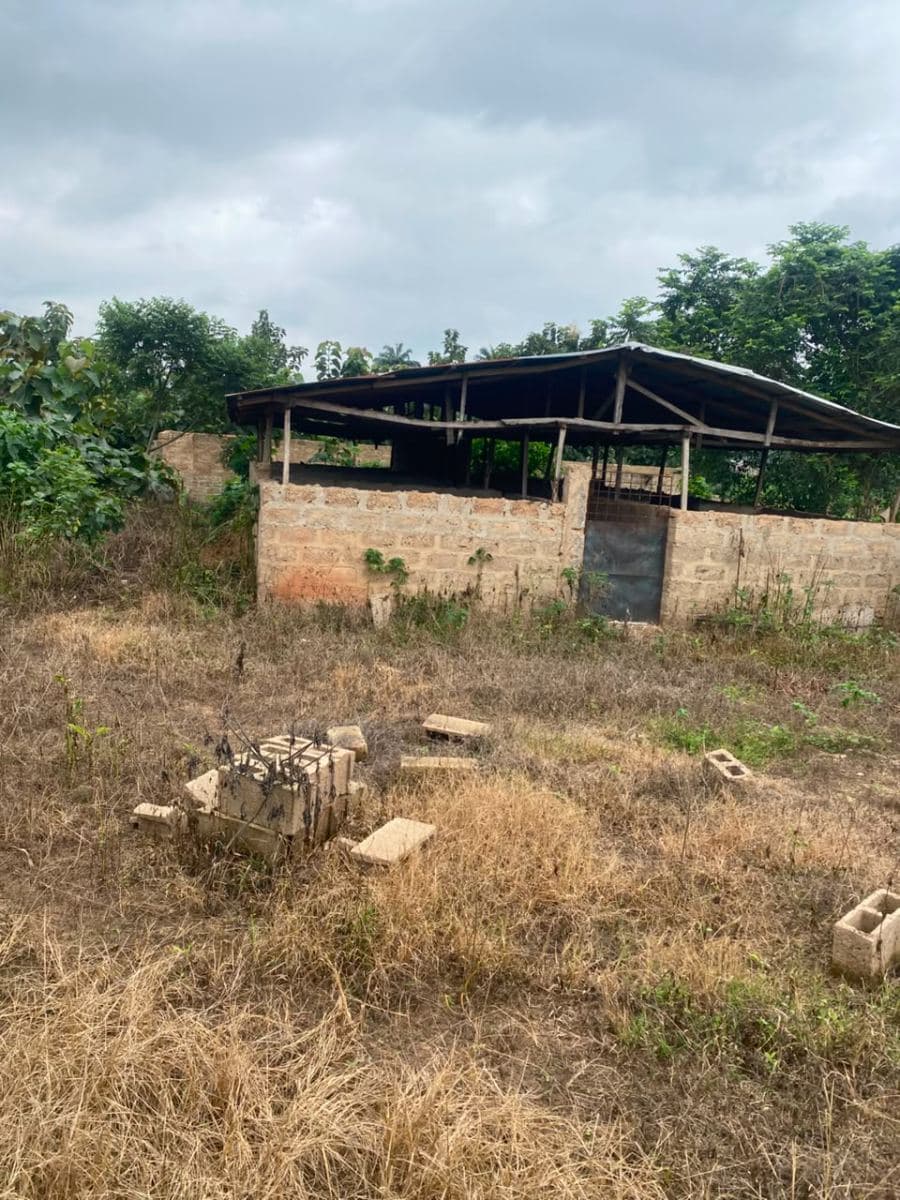 Pig house with 8 rooms and additional space 4
