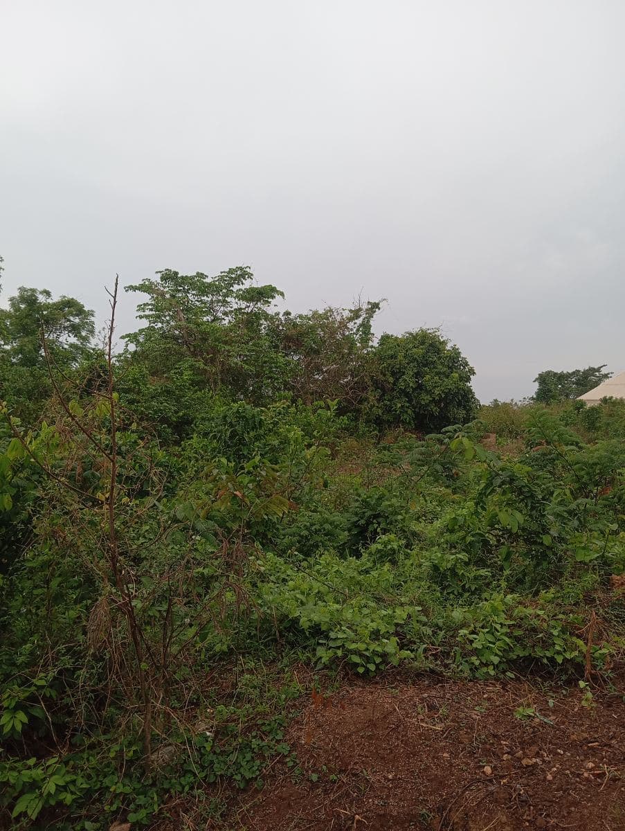 4 plots of land 2